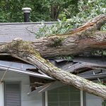 storm damage restoration