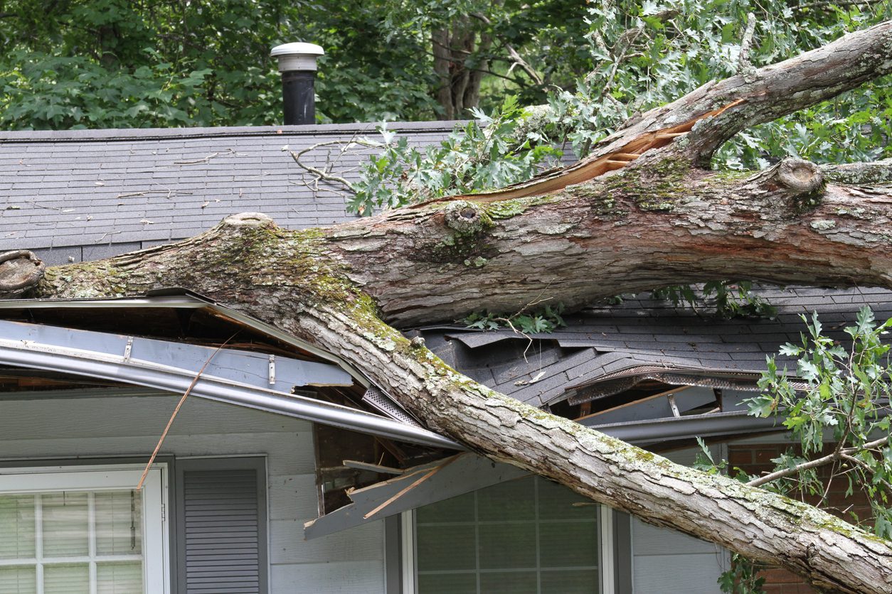 storm damage restoration